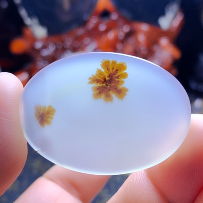 【闪购商品】玛瑙/玉髓颈饰未镶嵌