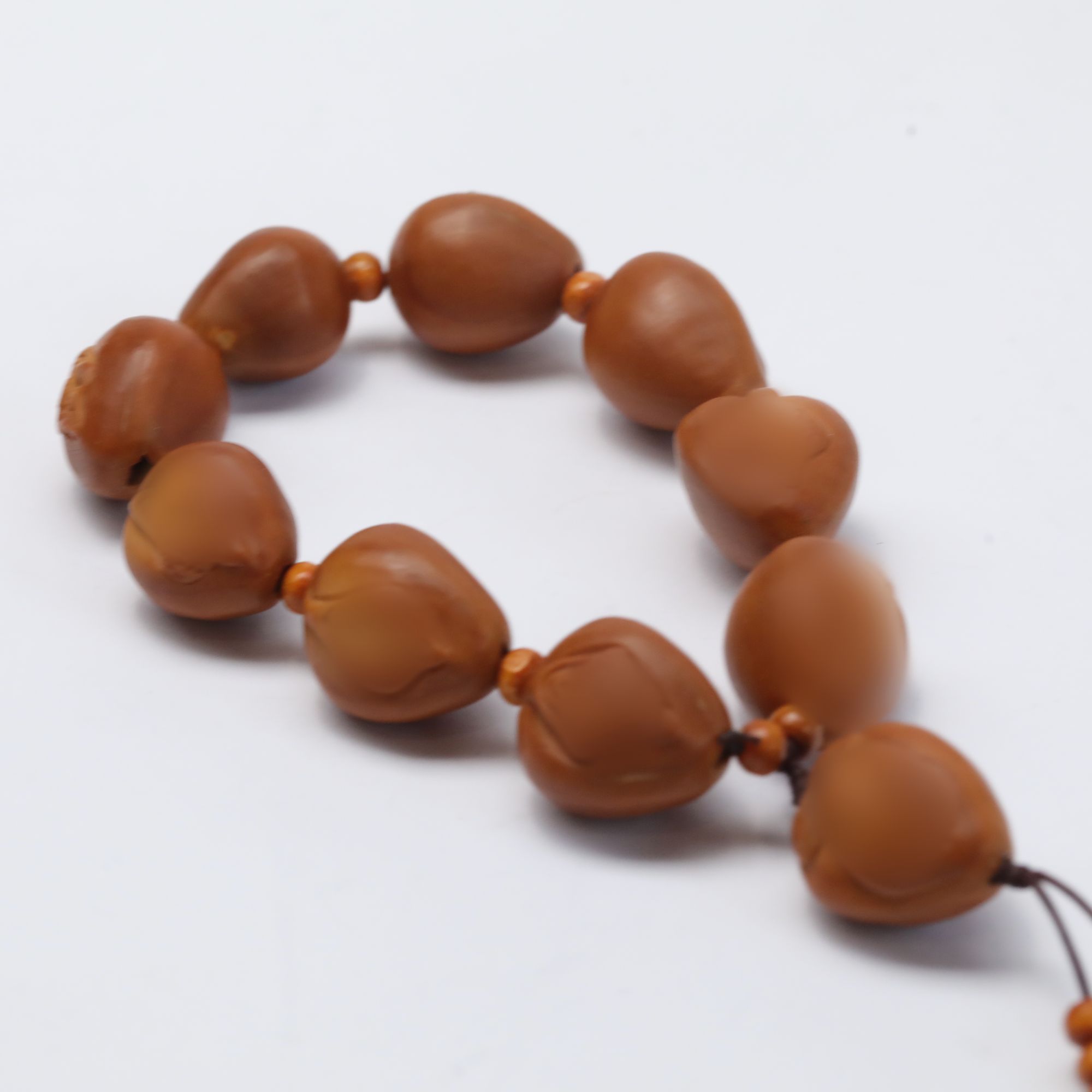 【表哥专属】 橄榄核生命之源  1811-2423