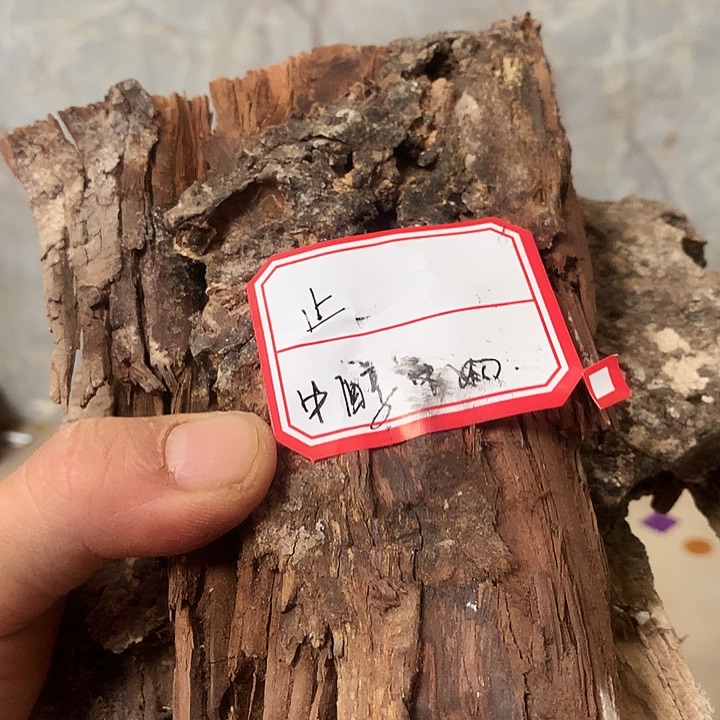 止***安大叶紫檀（黑酸枝木类）