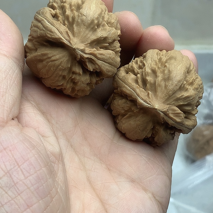 吊坠文玩核桃边40 肚42霸王龙