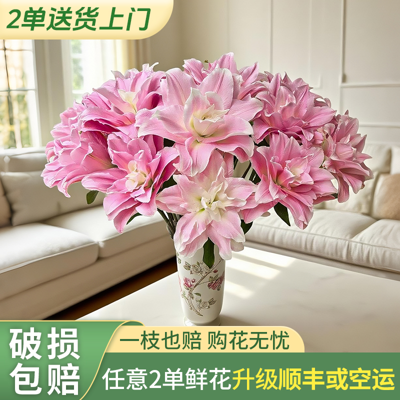 【两个老六卖花花】贵妃重瓣百合鲜花包邮 发货后不支持退款