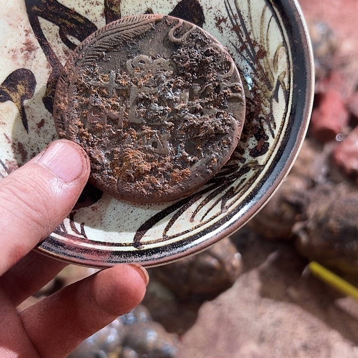 杯瓷器瓷器瓷器瓷器