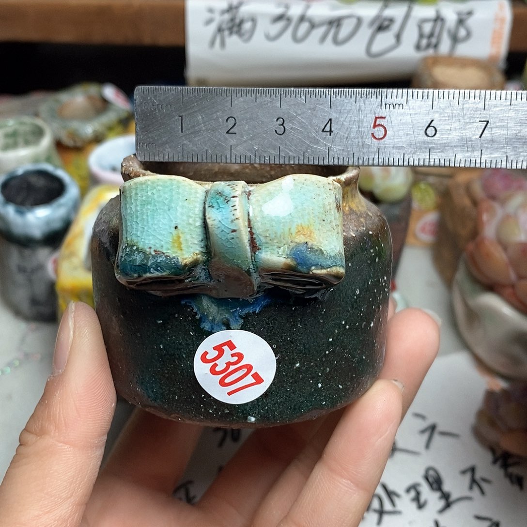 红陶拍5送一个小