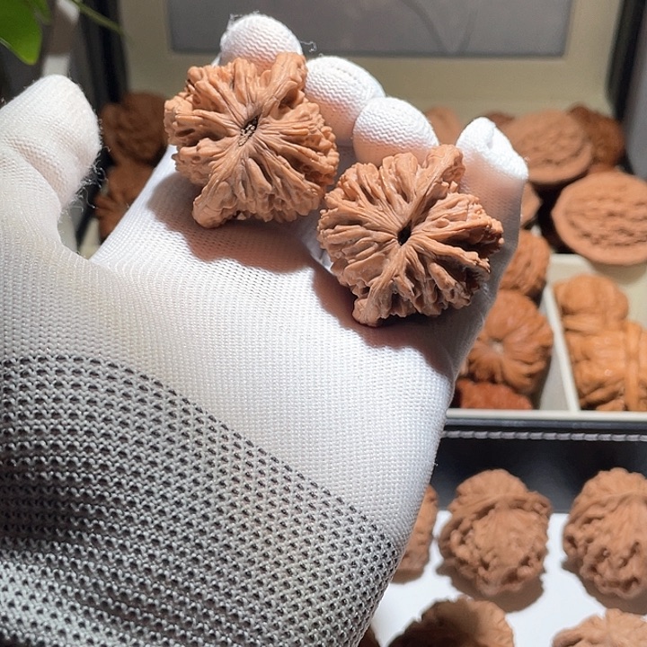 随*。42全品蓟县虎头狮子头