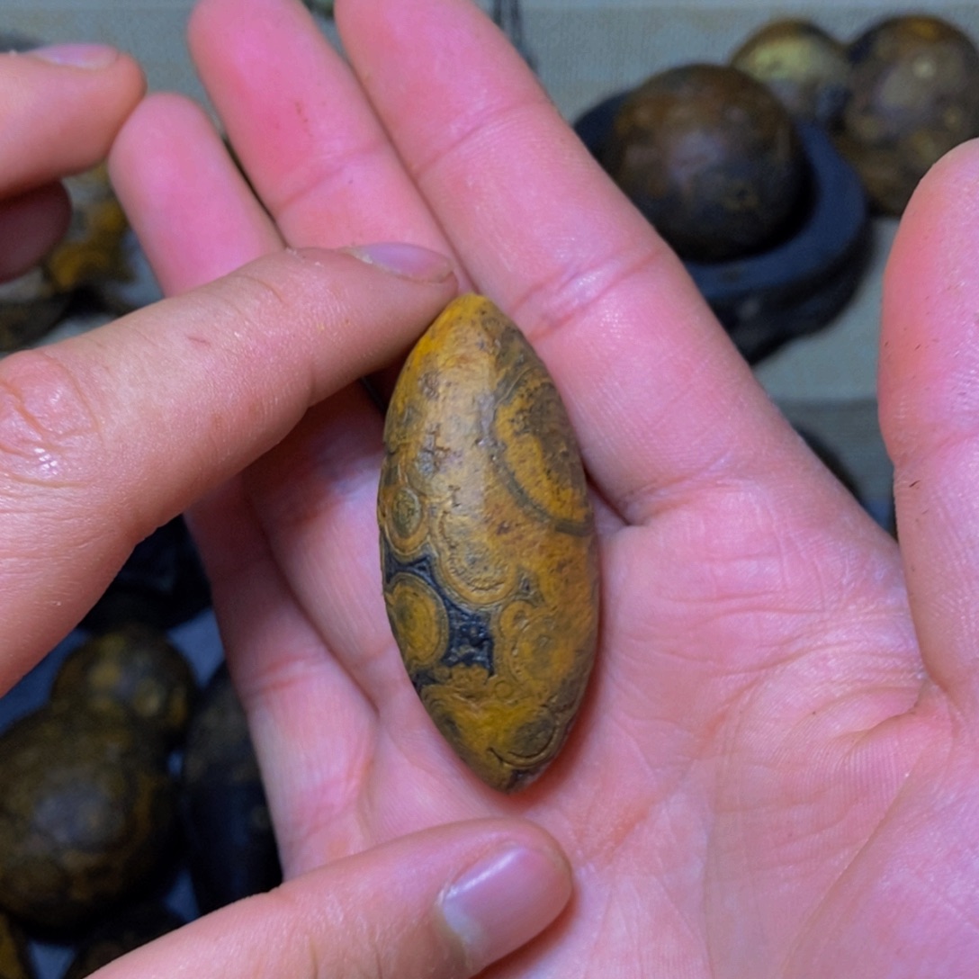 防***2大叶紫檀（黑酸枝木类）