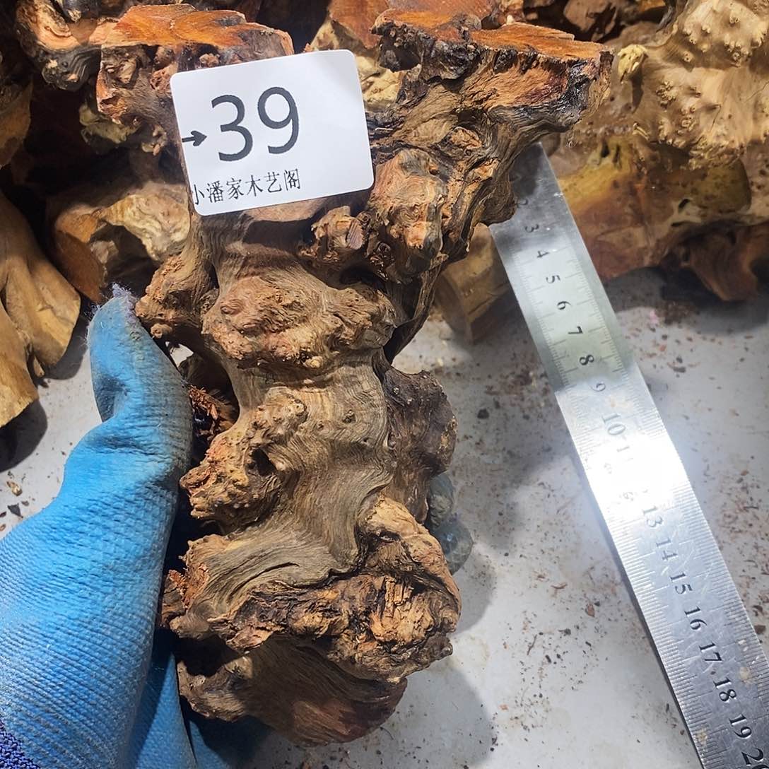 香榧木反***?火琉璃……火琉璃