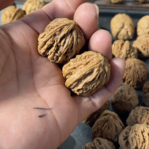 问***大南疆石小手捻手把件