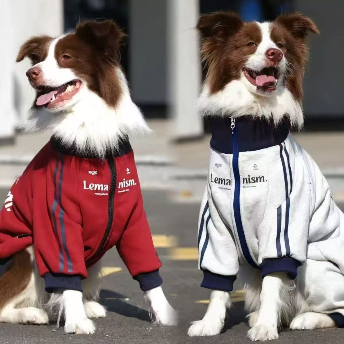 秋冬新款大型犬狗狗宠物衣服保暖金毛边牧拉布拉多加绒保暖外套潮