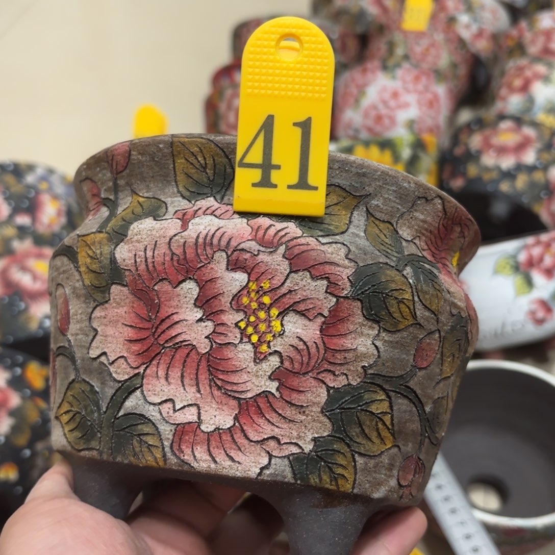 缸新**格哈哈哈哈哈哈哈哈哈哈哈