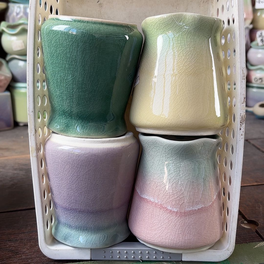 量货/口6高10深浅搭配发4