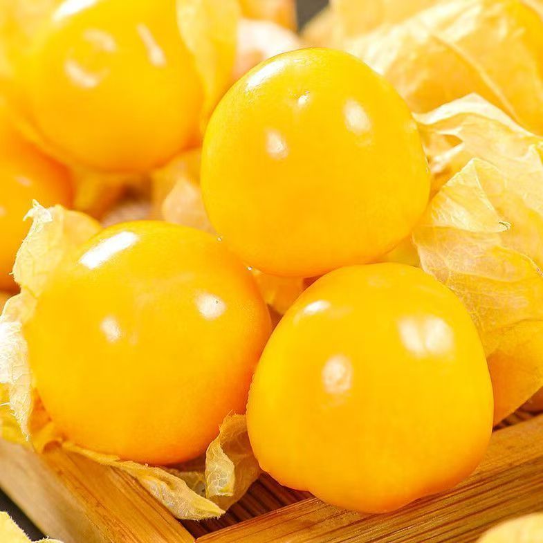 云南姑娘果灯笼果香甜可口现采现摘产地直发