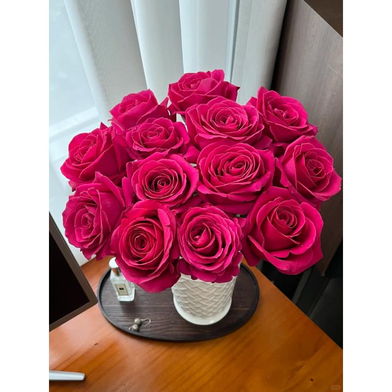 弗洛伊德玫瑰 两单升级顺丰冷链 收到需醒花  揽收无法退