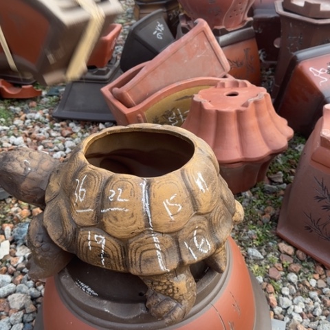 红陶紫砂花盆盆景盆栽