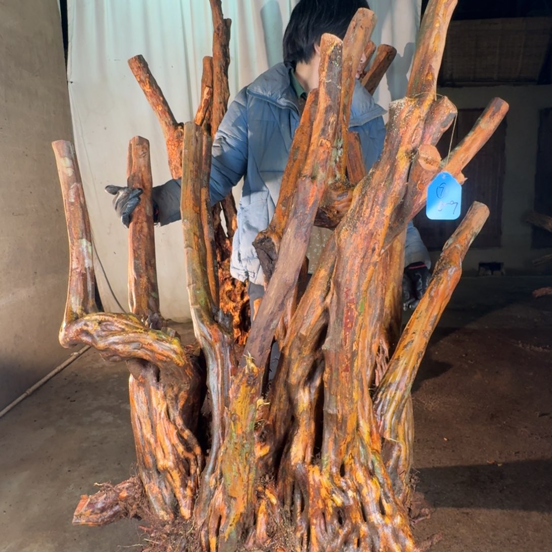 宁***司888888888888888888