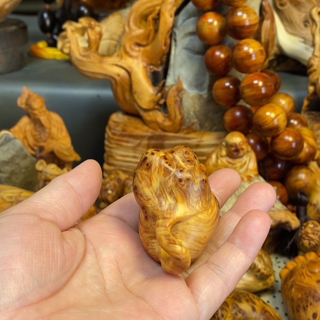 柏木（崖柏）用****1太行山上