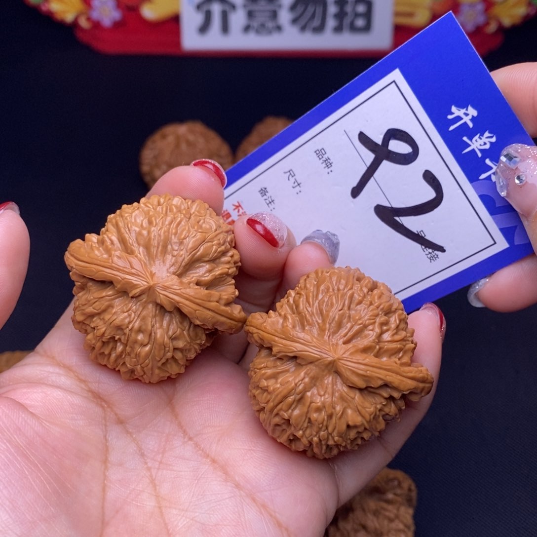 92号链接白狮子4.1尺00000