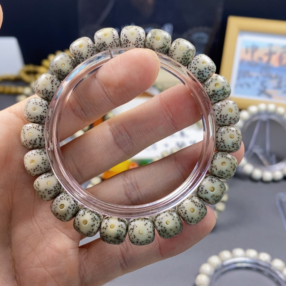 星月菩提手串雄**下10同枝果黄金瞳