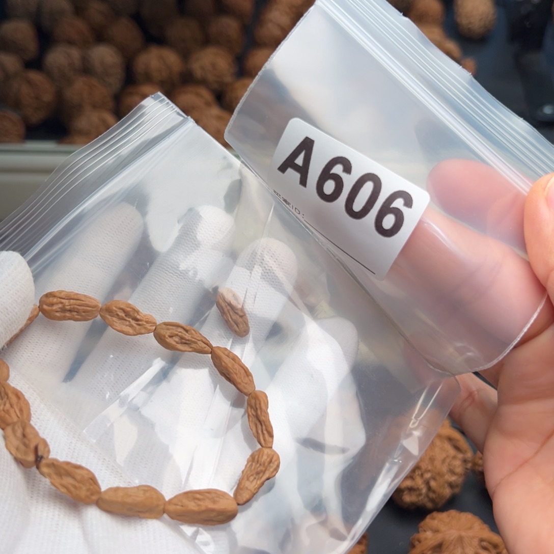 眠***棠文玩核桃手串A606串