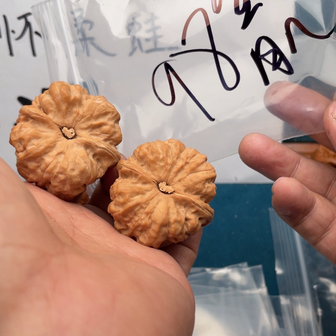 核桃手串/手链W693694469649946