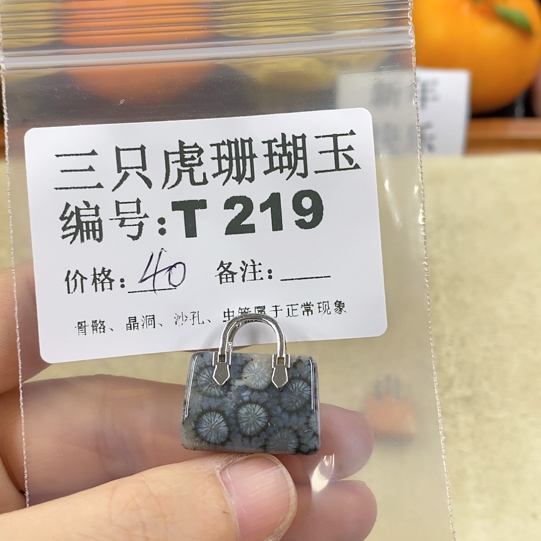 硅化珊瑚（珊瑚玉）1未镶嵌蔷*