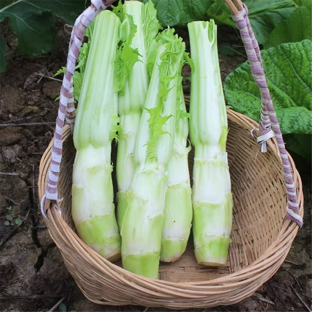 四川农家新鲜棒棒菜，菜老壳