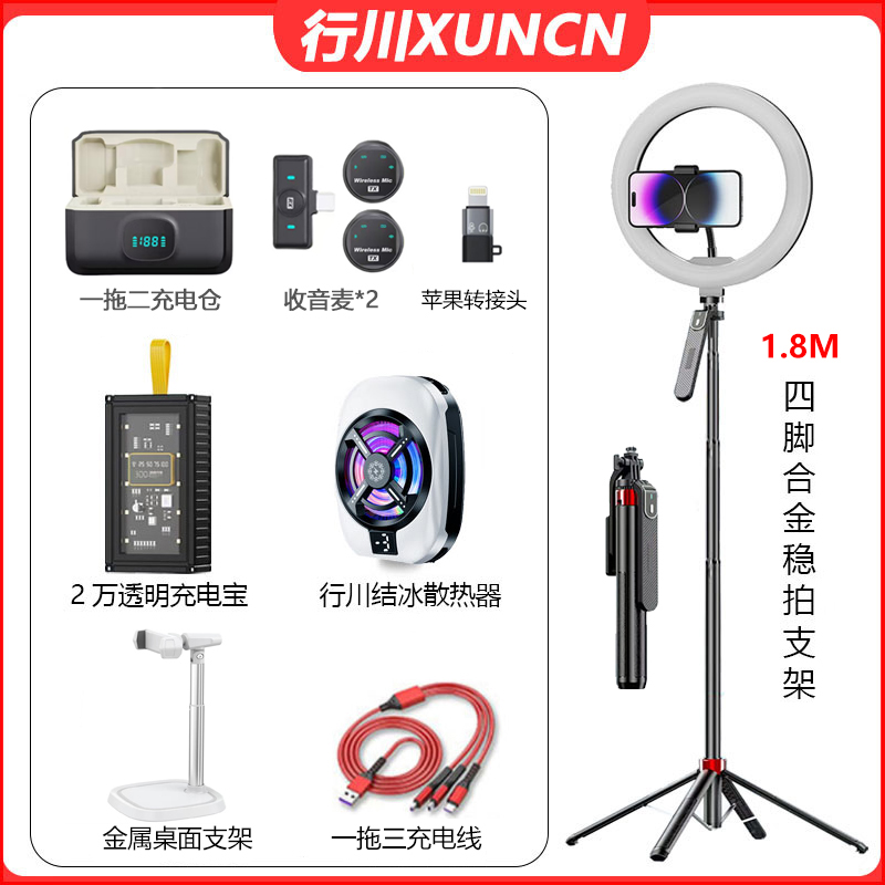 （主播一对一）一拖二领夹麦套餐四脚支架充电宝金属桌面直播设备