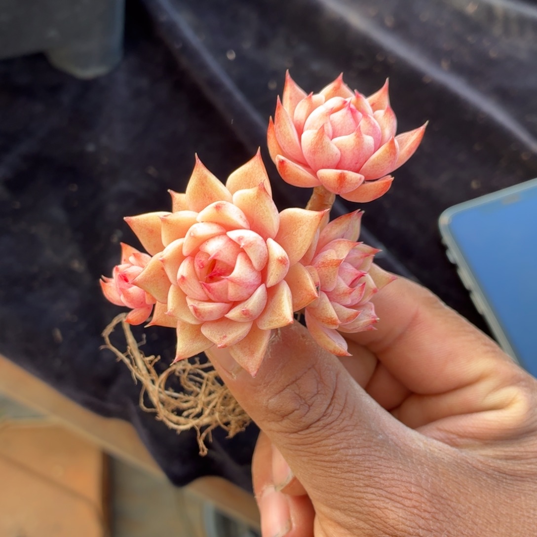 在这里我们都有很多朋友