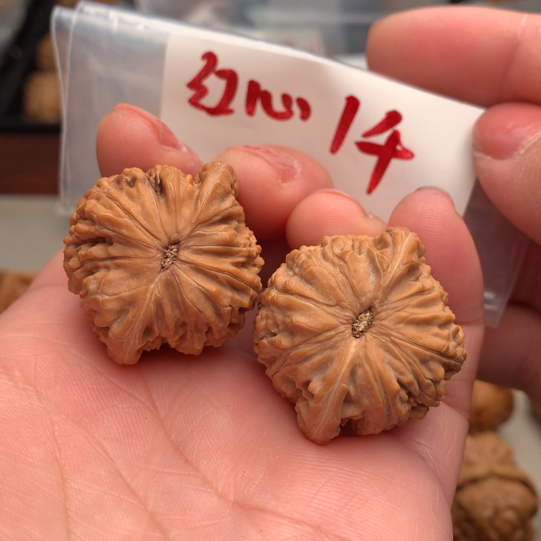 文玩核桃把件红心1000mmmmmmm