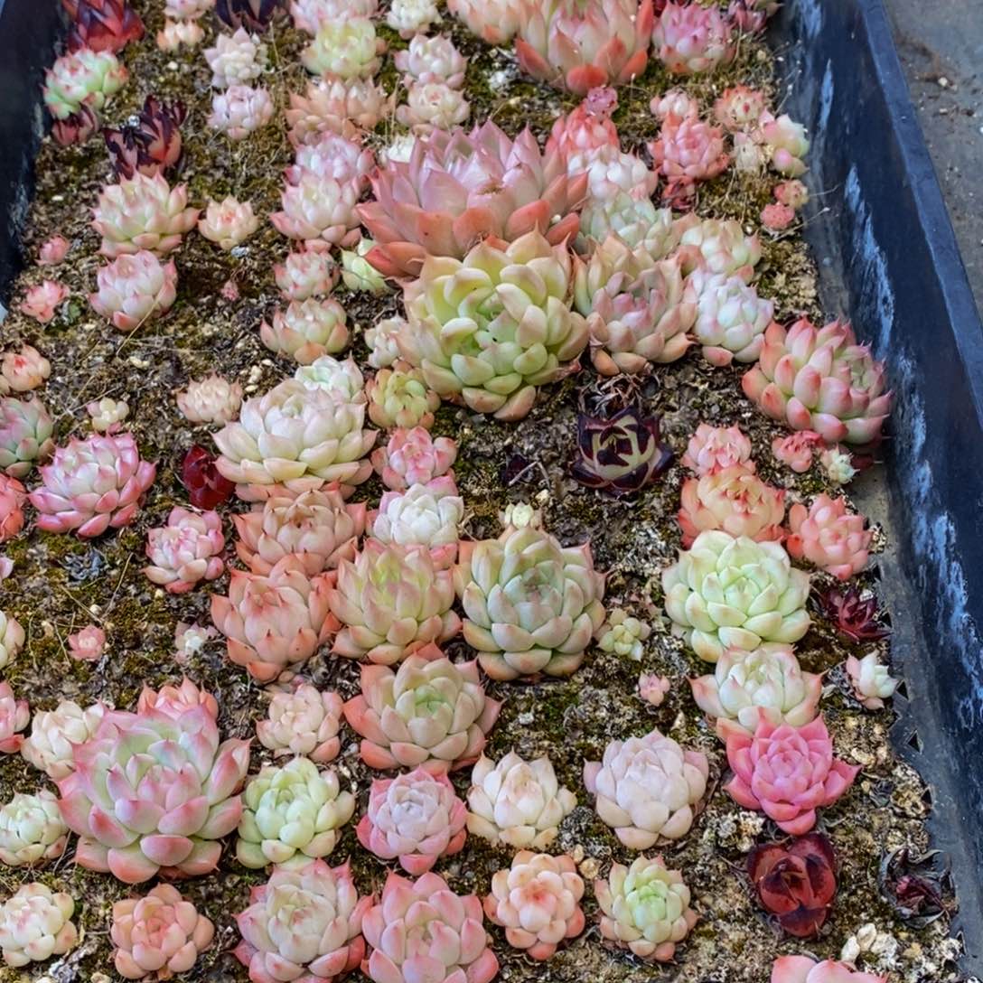 801的人和事的确