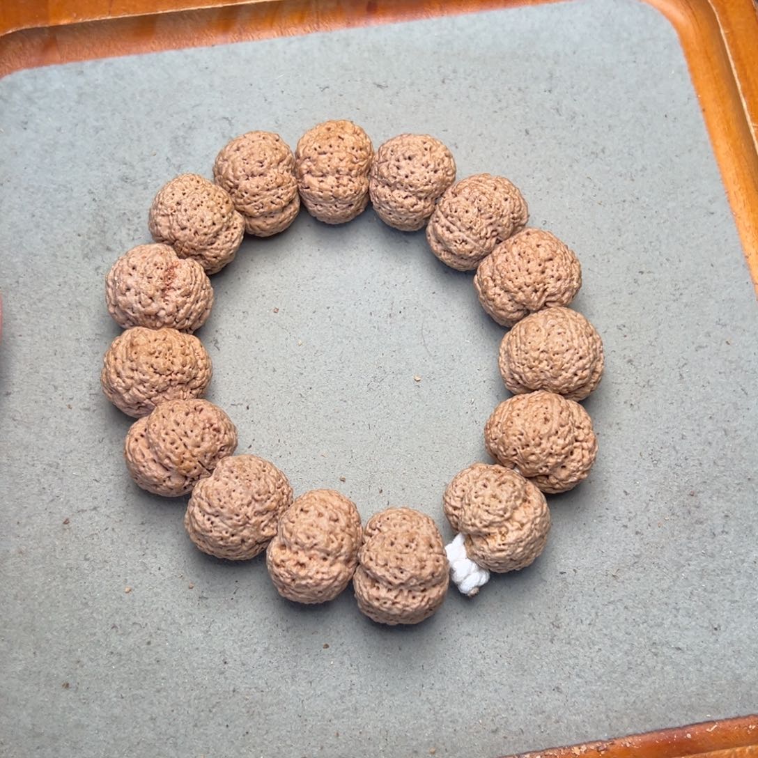 菩提17号金刚菩提熊猫菠萝蜜22+