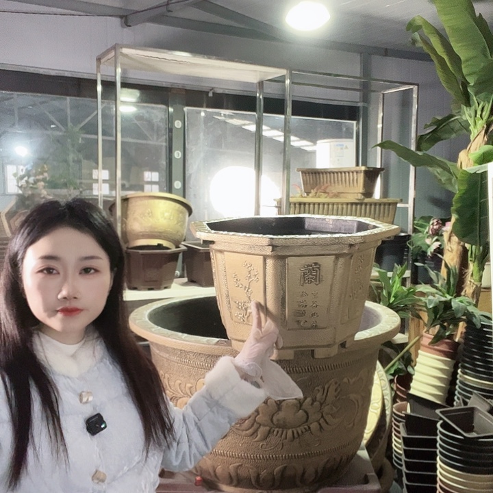 八角50花盆2个有孔