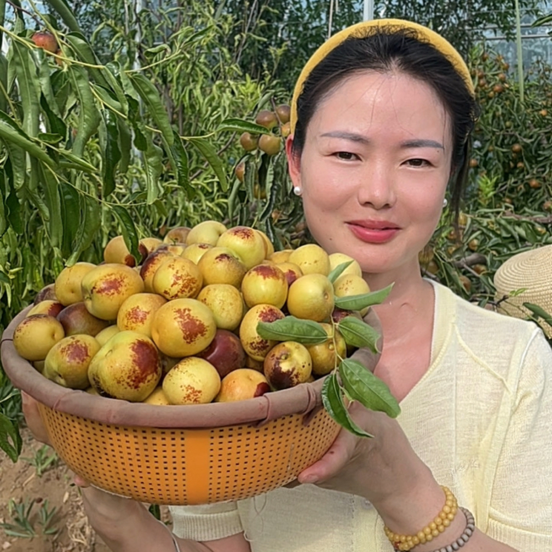 【京东快递】正宗大荔冬枣冰糖枣甜脆甜可口新鲜采摘产地直发