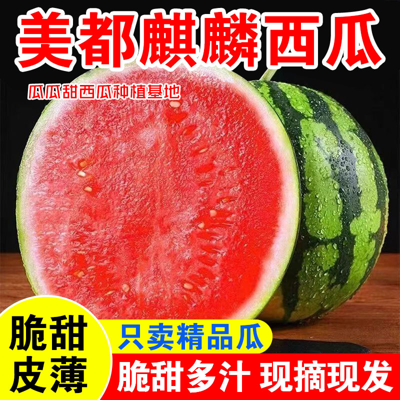 【升级大瓜】现摘头茬正宗麒麟超甜西瓜糖心薄皮无籽水果麒麟西瓜