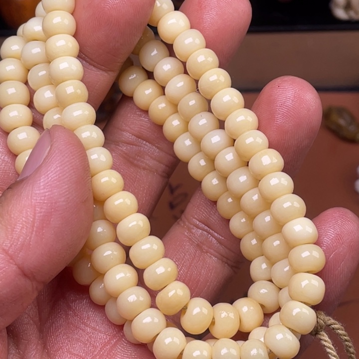 驼骨其他人工养殖