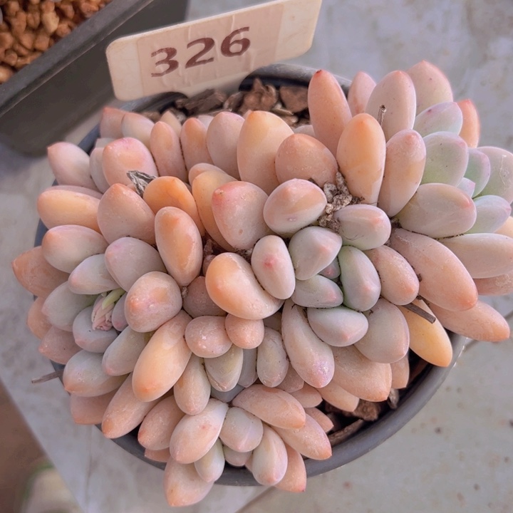 健健康康平平安安