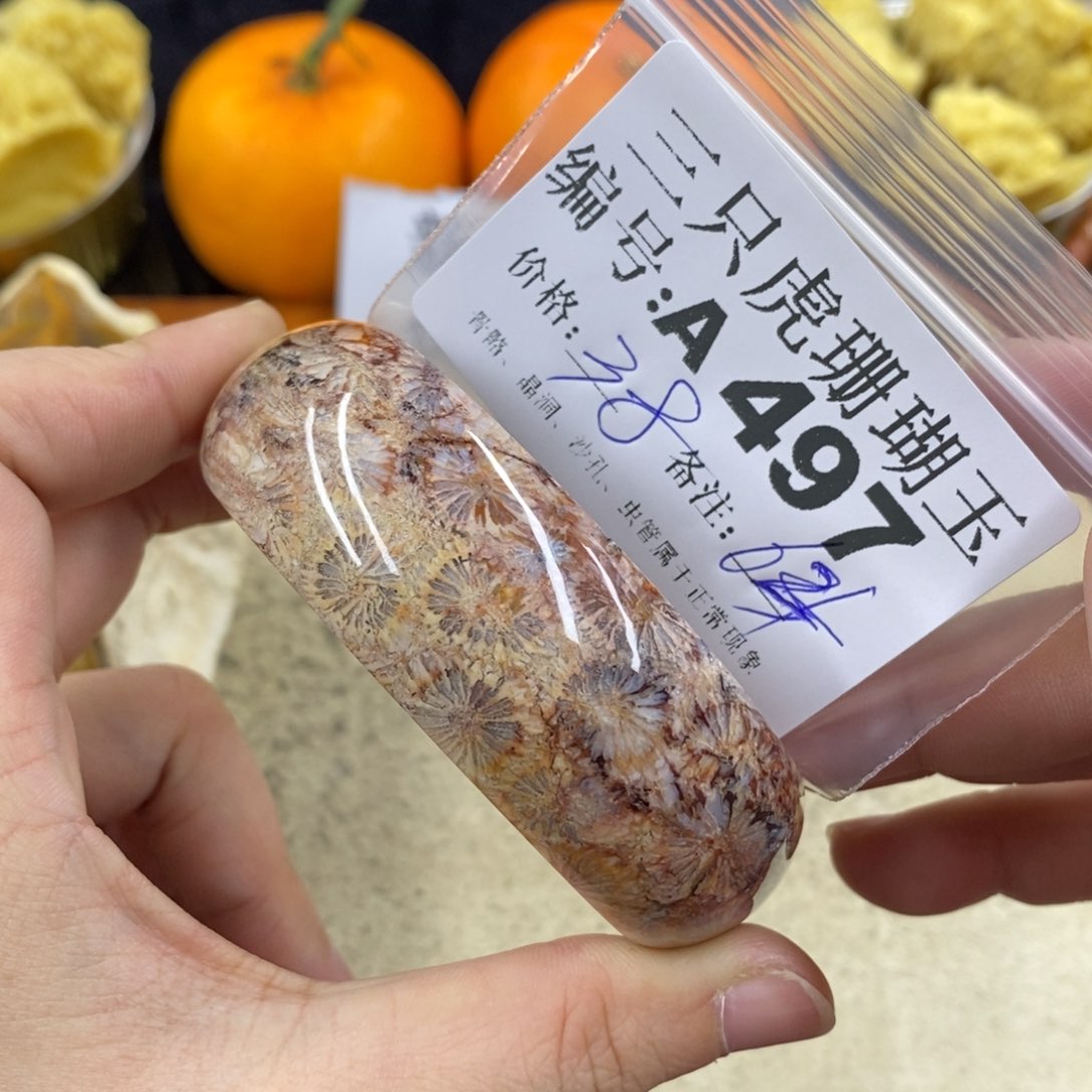 硅化珊瑚（珊瑚玉）1未镶嵌꧁****꧂