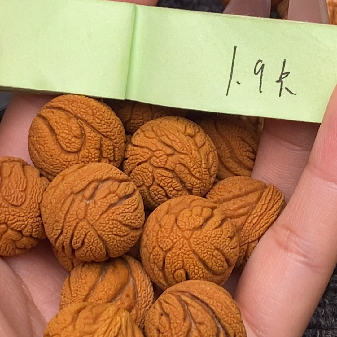 秦岭山脉龙纹桃核 14