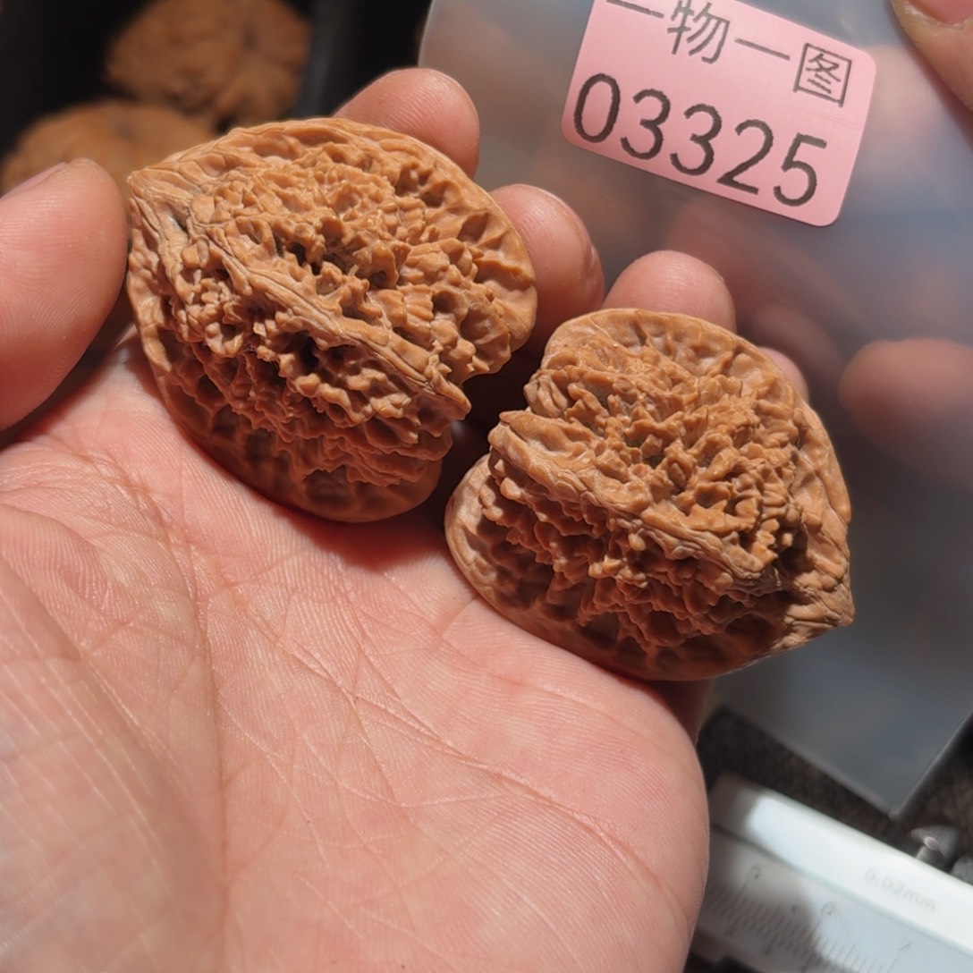 把件文玩核桃满天星