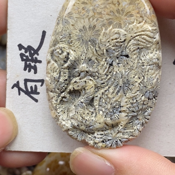 硅化珊瑚（珊瑚玉）未镶嵌颈饰