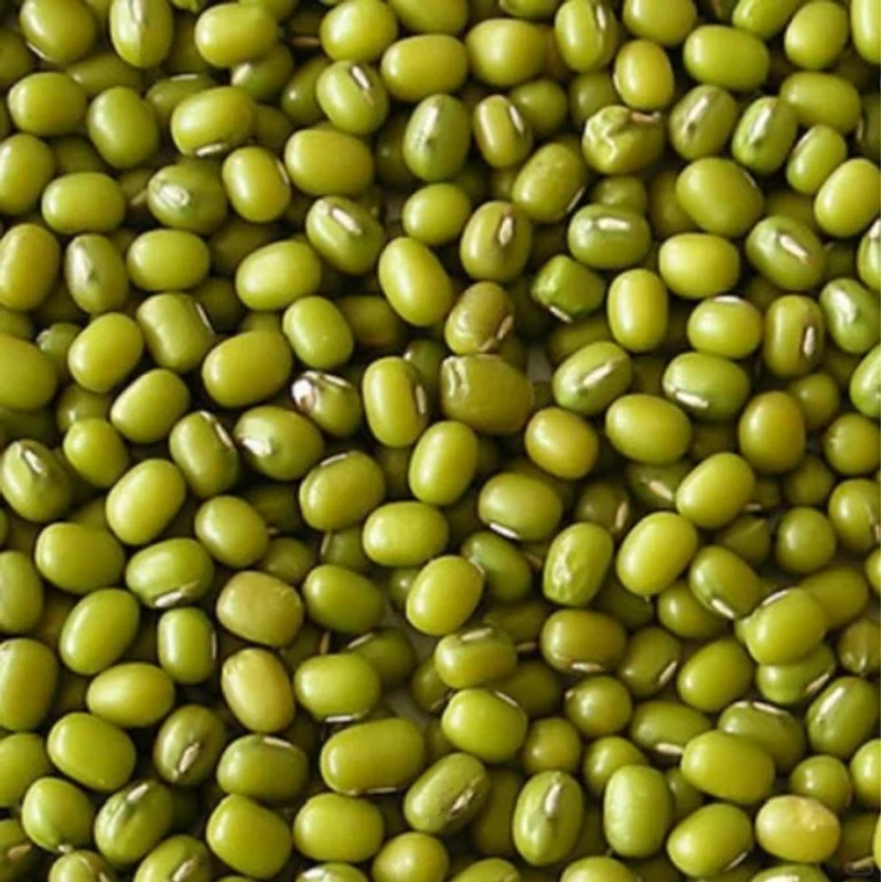 【助农山货】农家特产精选绿豆