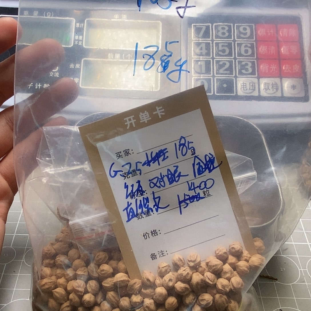 柏香籽/百香籽吊坠