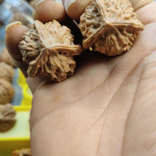 大叶紫檀（黑酸枝木类）盘山三棱核桃，