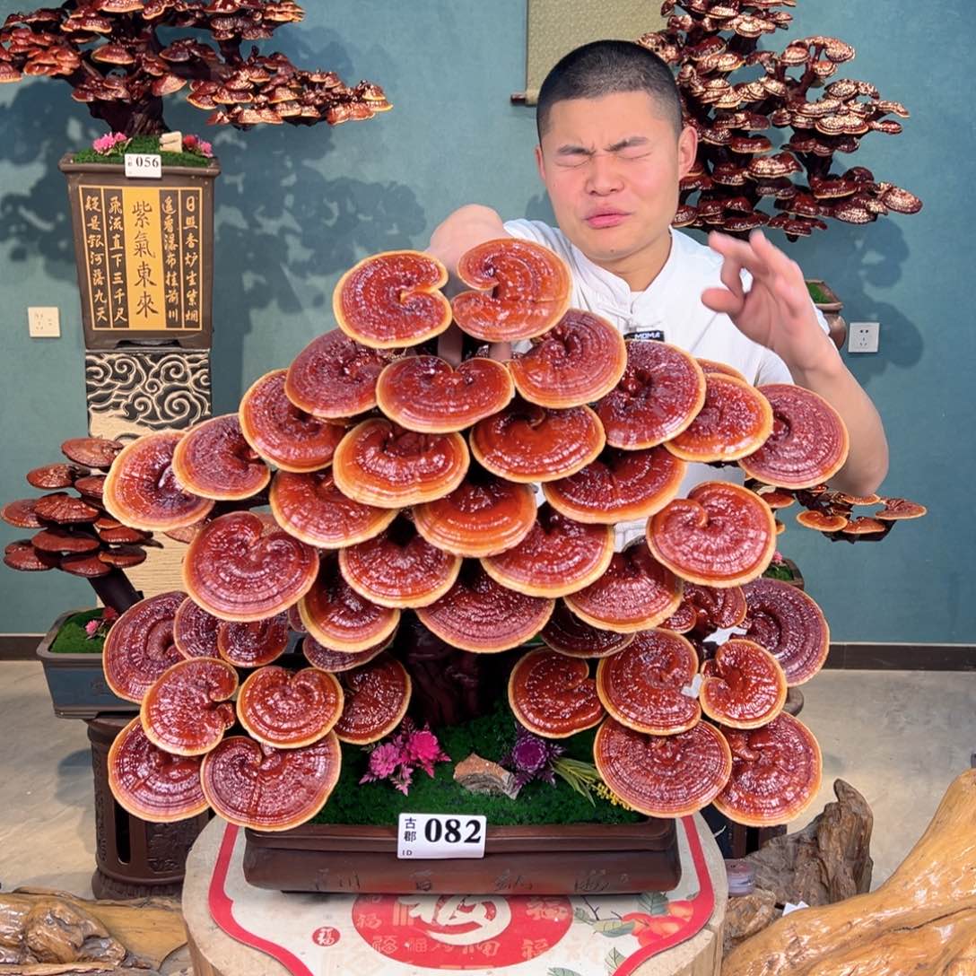 无花朵88888888888