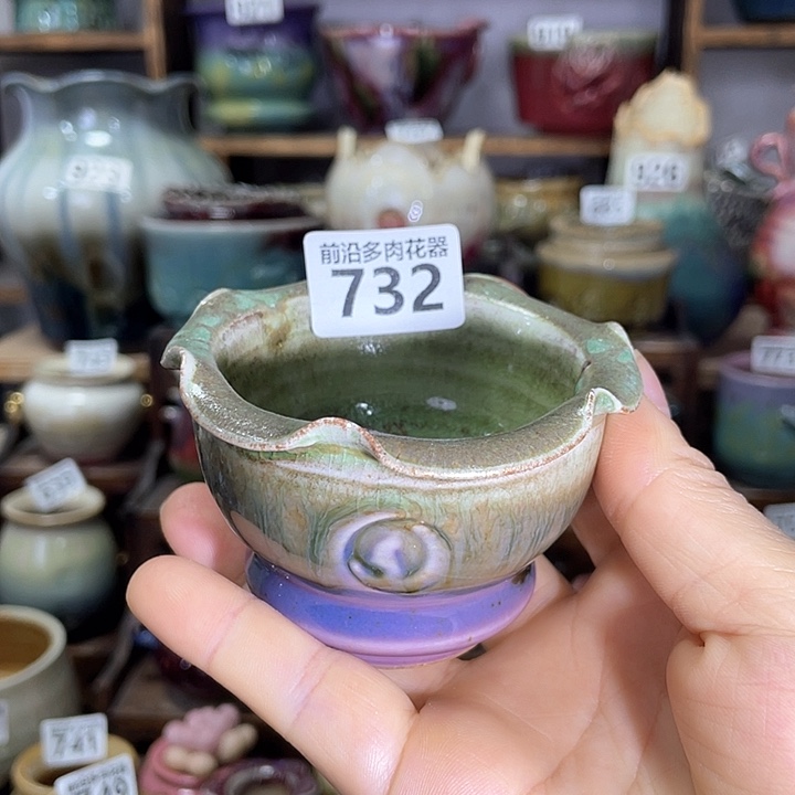 红陶内口径6高度6