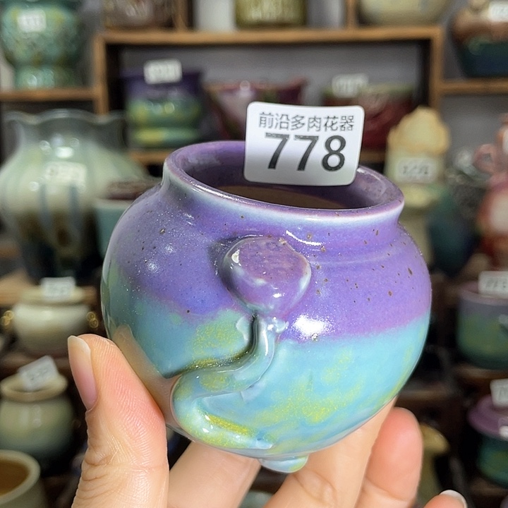 红陶内口径5高度6