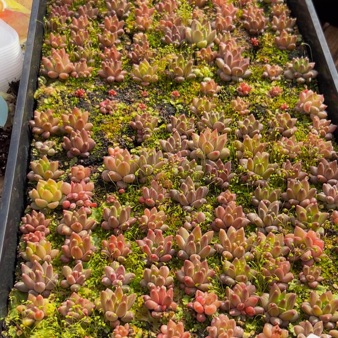 一***剧392大热天的一天从早上开始到晚上