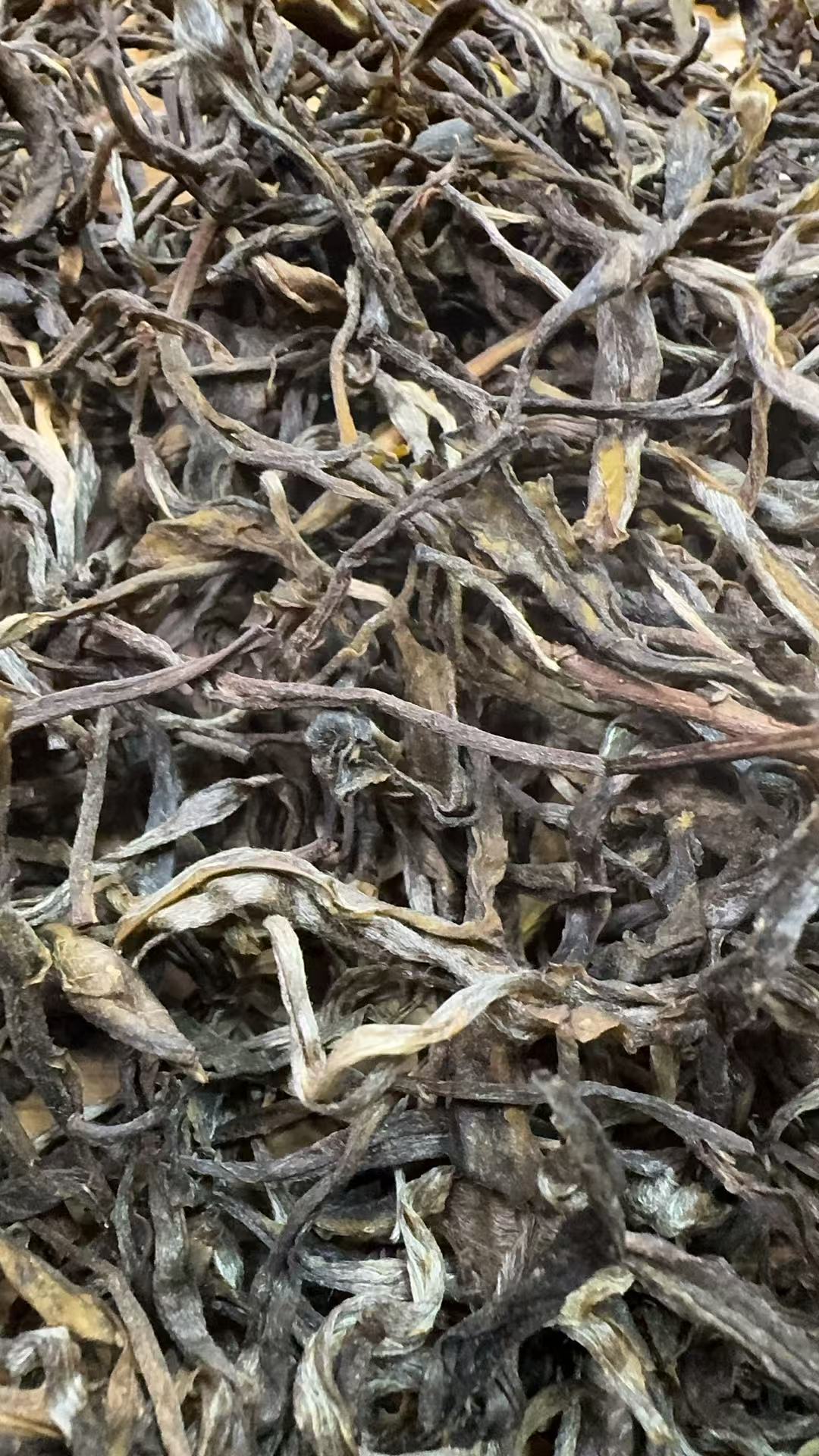 11月5日 1公斤 25年仙人山 生茶散茶 T4416