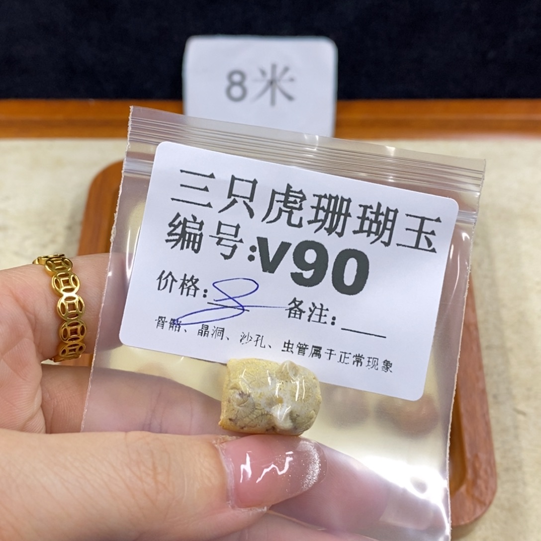 硅化珊瑚（珊瑚玉）未镶嵌1初**蛰