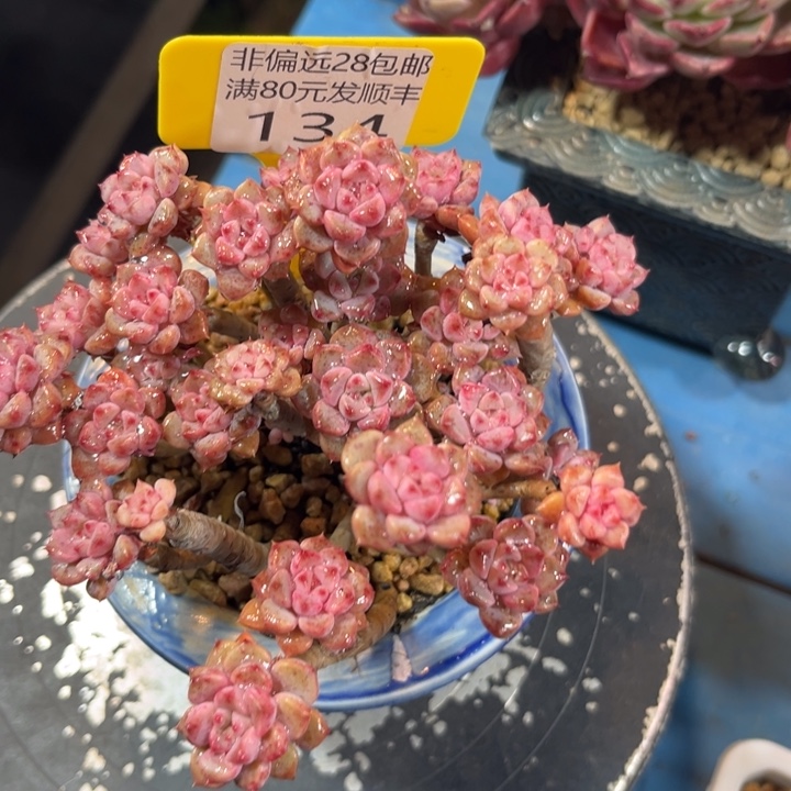 沐***、大134hhjjjjjjjjjjjjjj