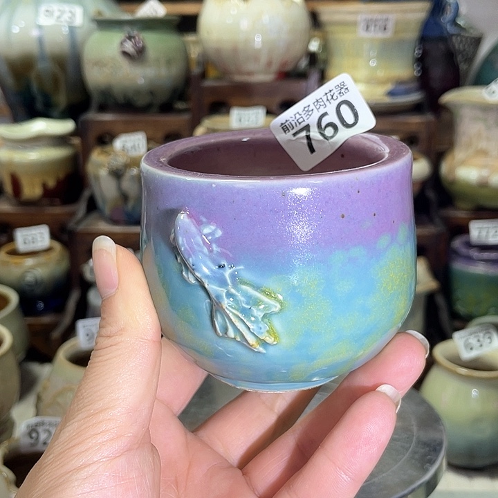 红陶内口径6高度6